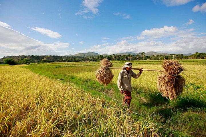 35petani-facebook-1-1.jpg